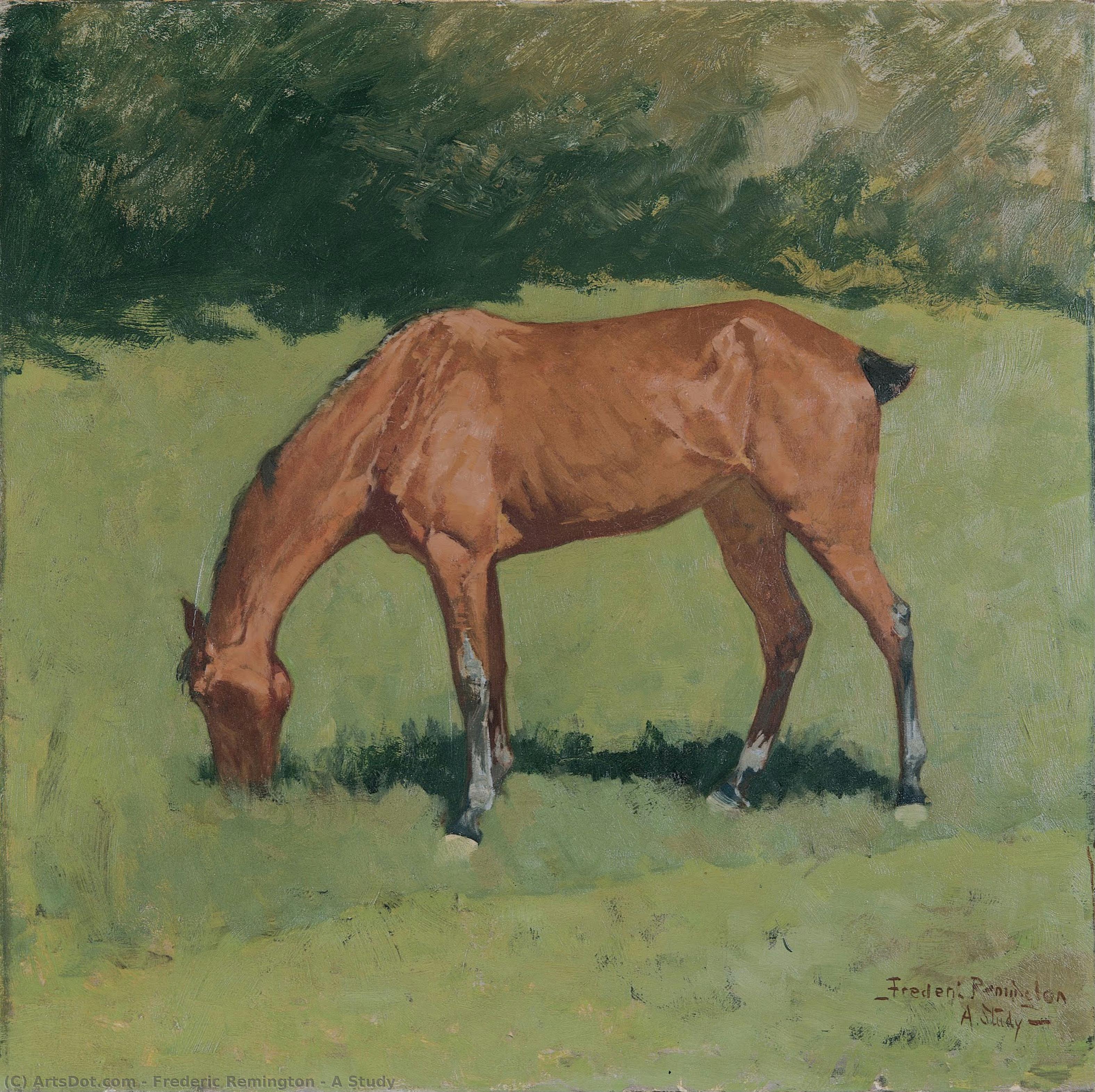 Eine Studie — Frederic Remington