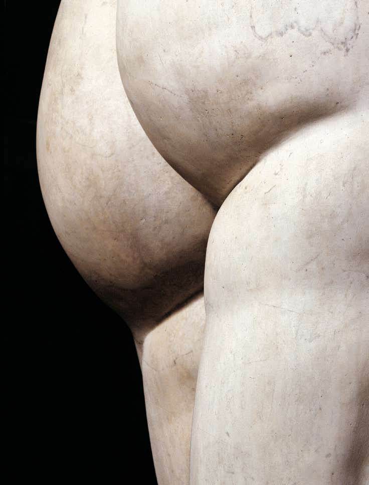 David (detail) — Michelangelo Buonarroti