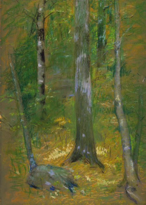 Onteora — Alice Pike Barney