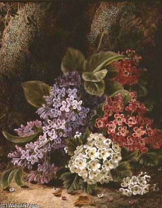 Still Life With Blossom — Oliver Clare