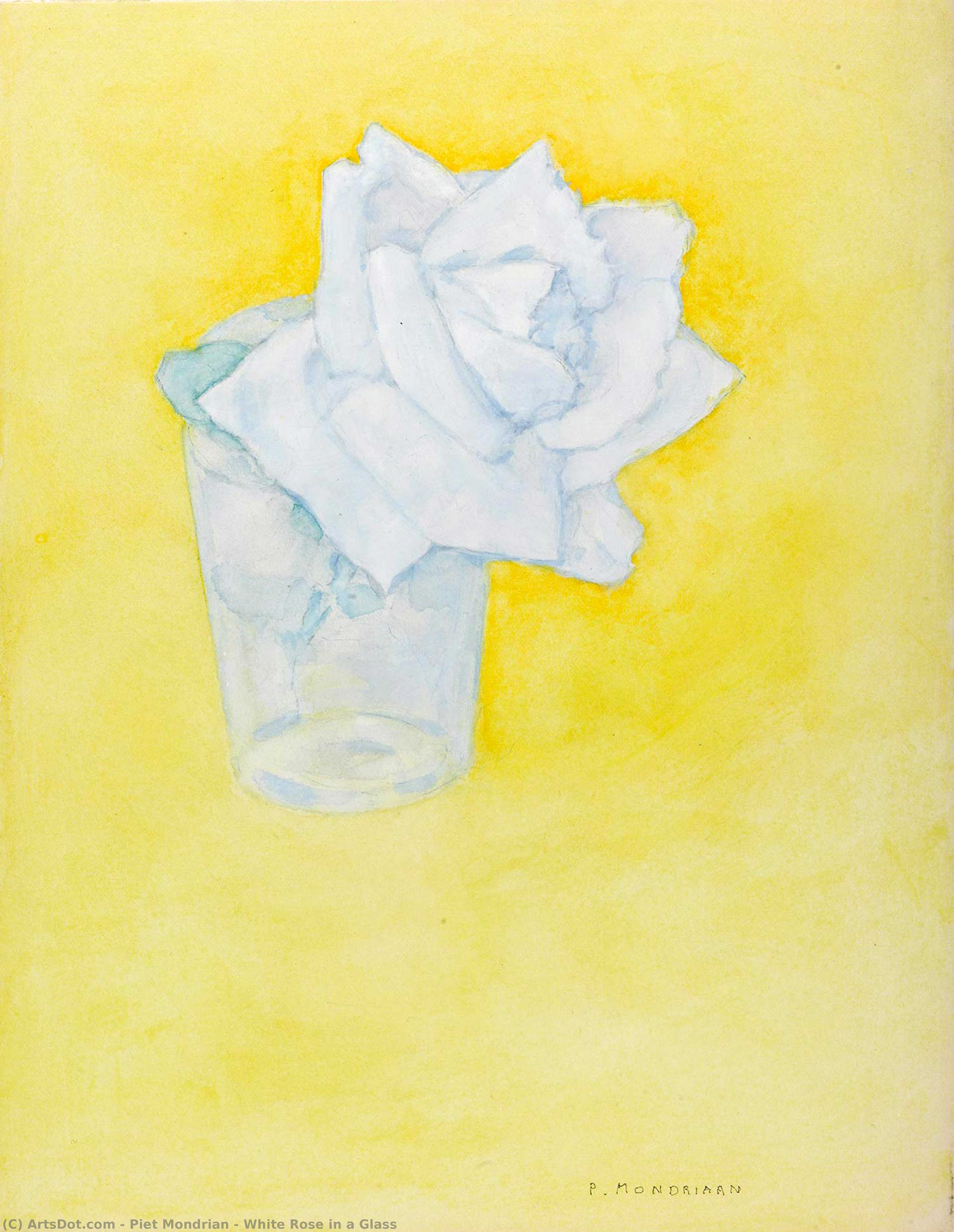 White Rose In A Glass — Piet Mondrian