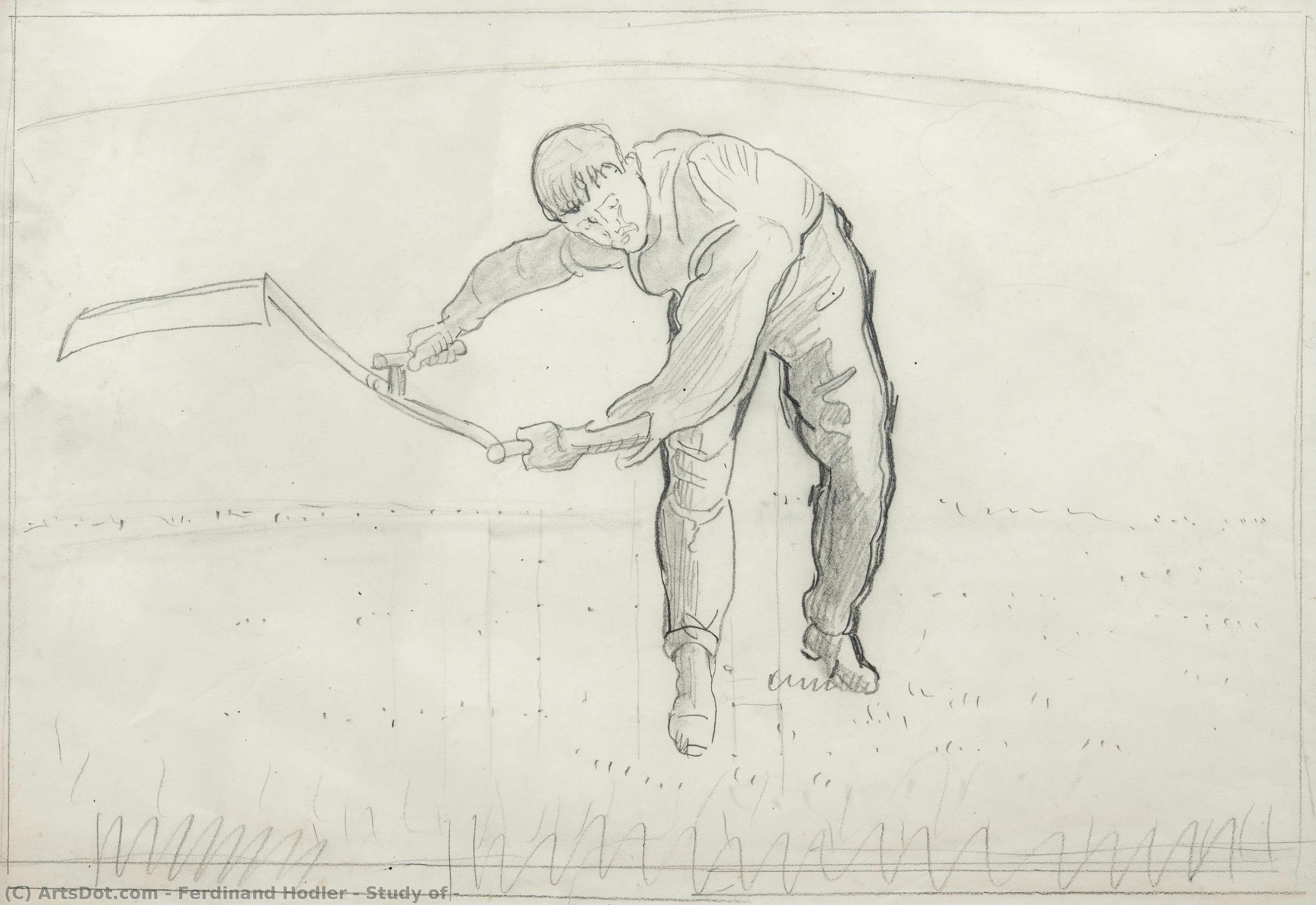 Study Of — Ferdinand Hodler