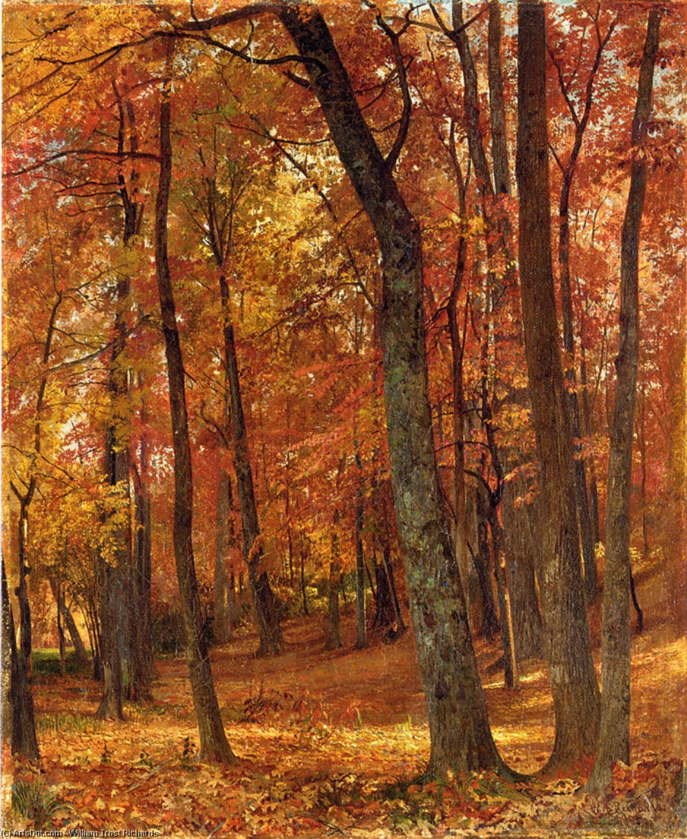 Forest Interior — William Trost Richards