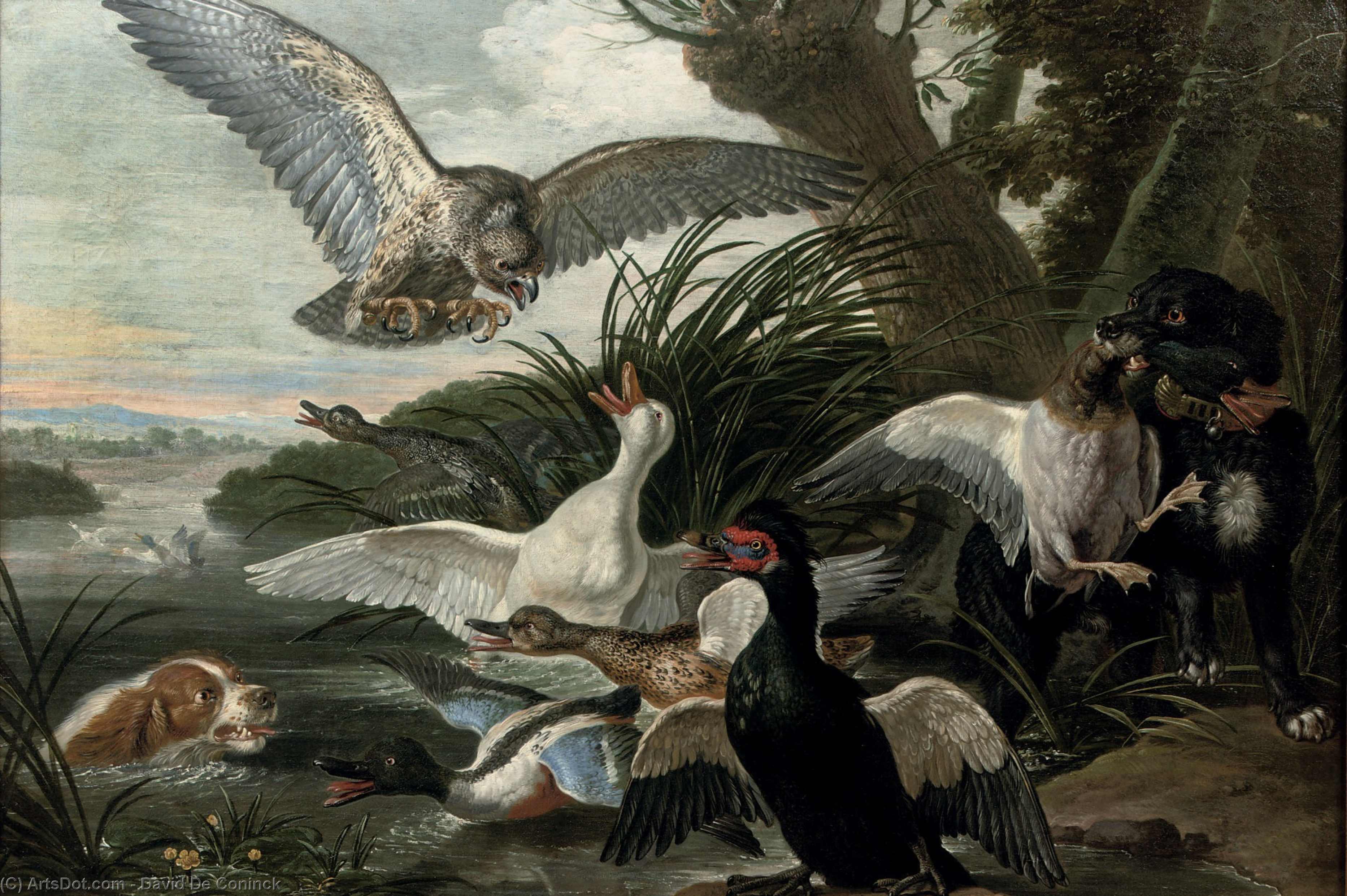 Entenjagd Mit Hunden Und Bussard. — David De Coninck