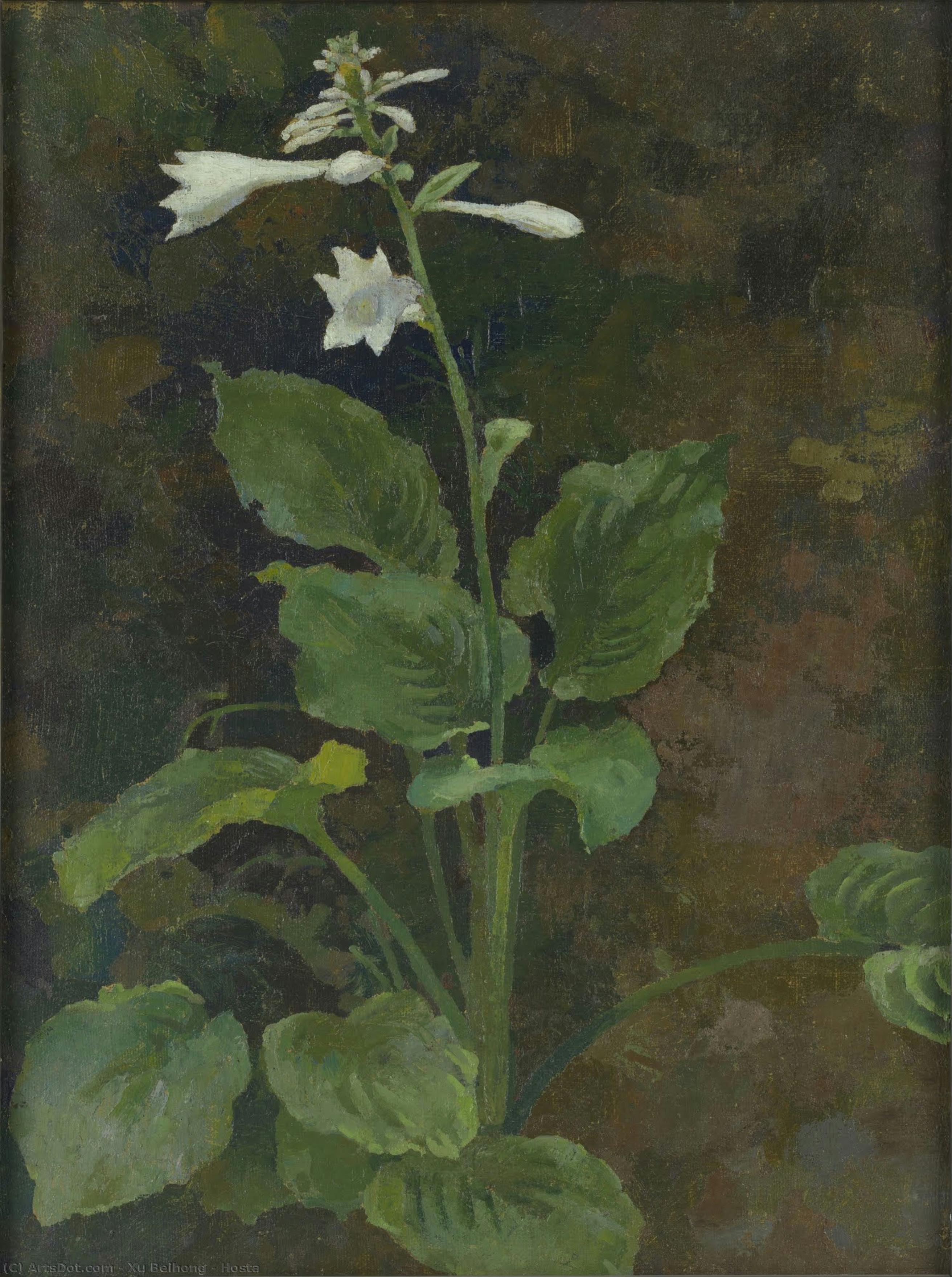 Hosta — Xu Beihong
