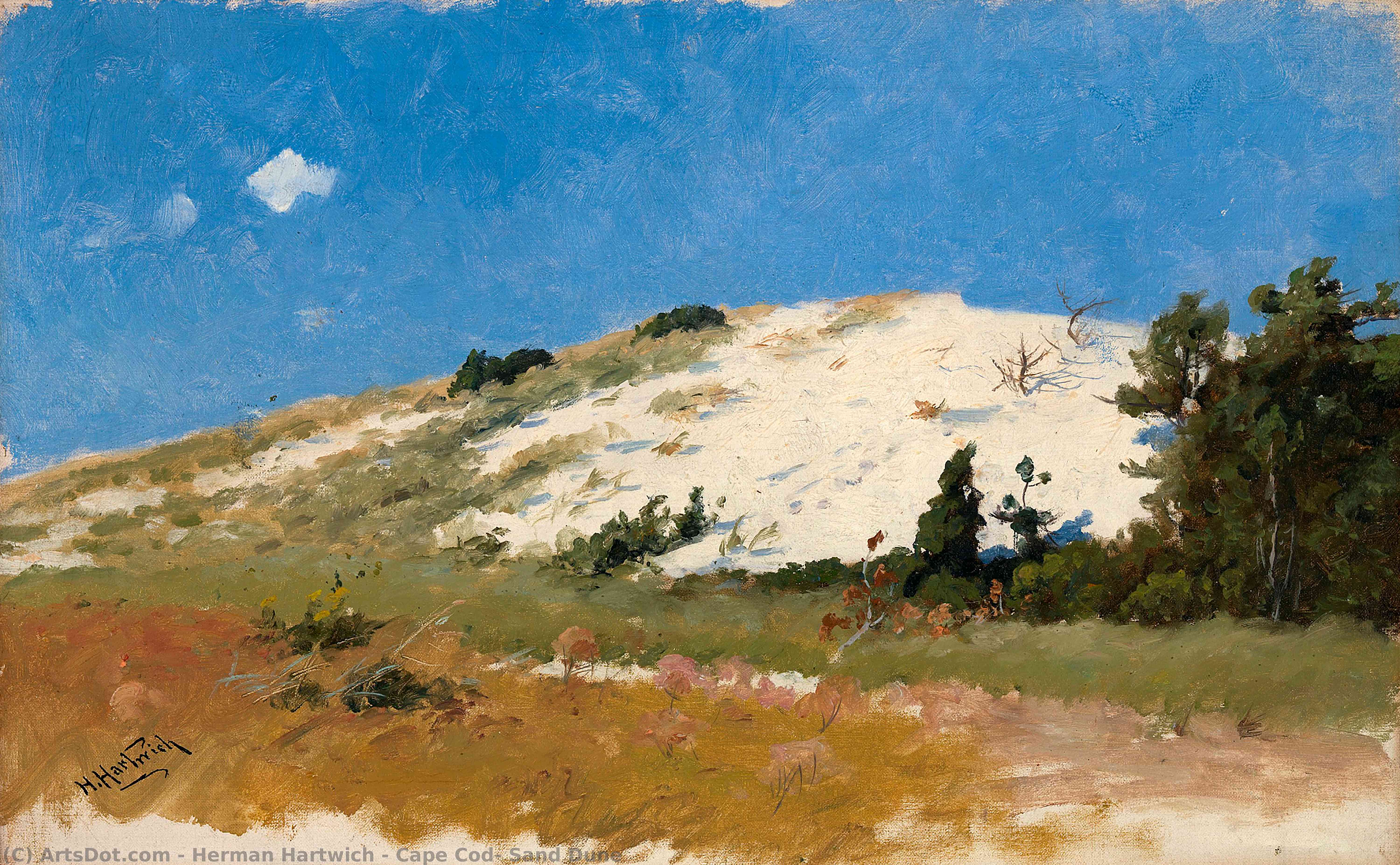 Cape Cod, Sand Dune — Herman Hartwich