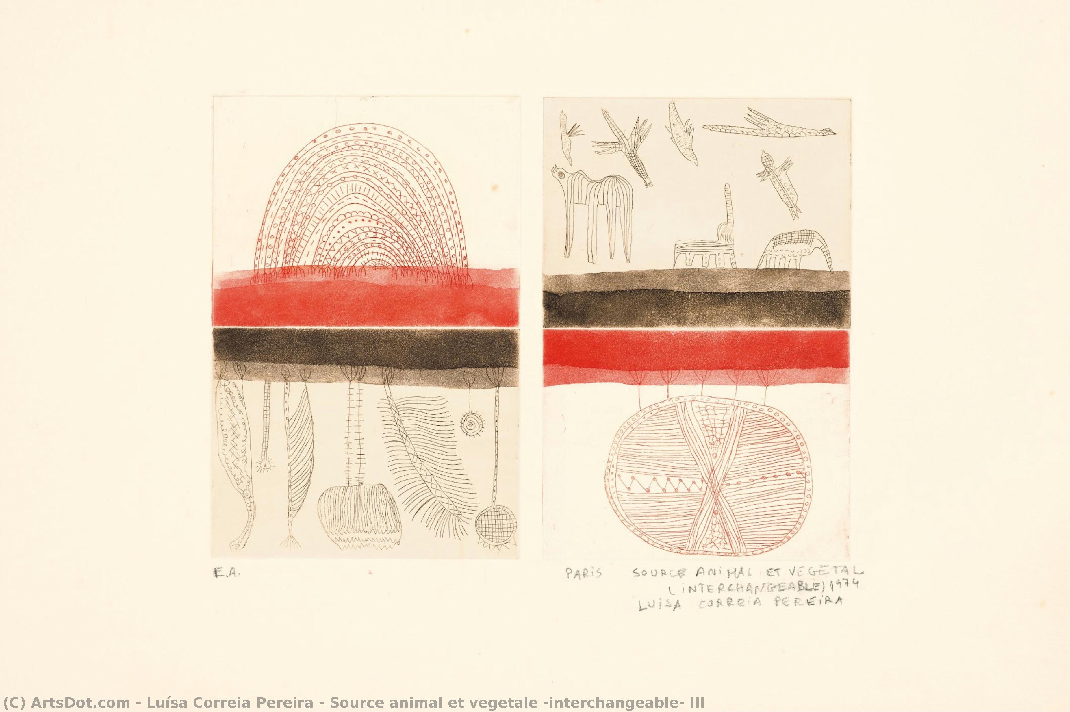 Source Animal Et Vegetale (interchangeable) Iii — Luísa Correia Pereira