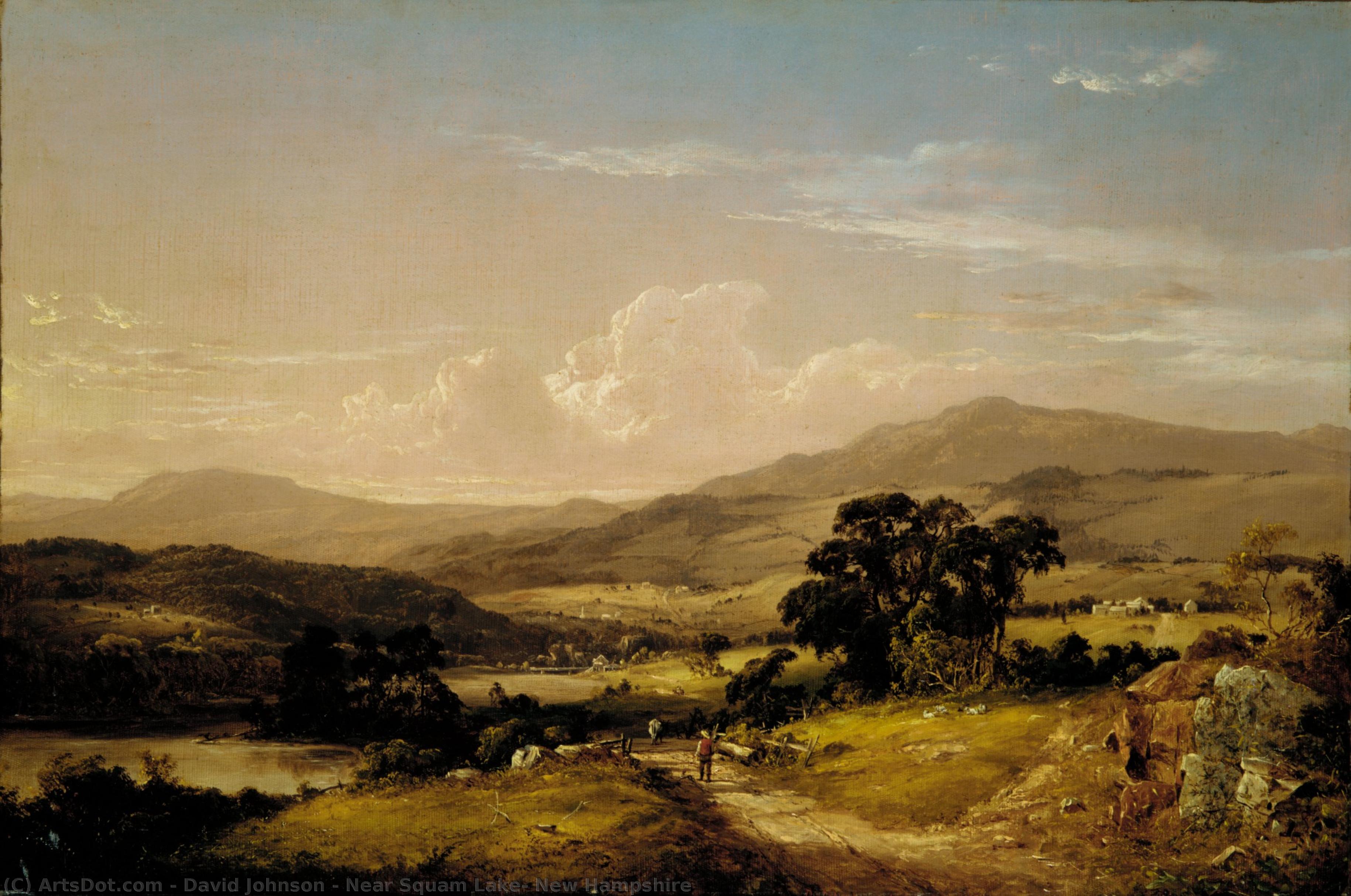 Near Squam Lake, New Hampshire — David Johnson