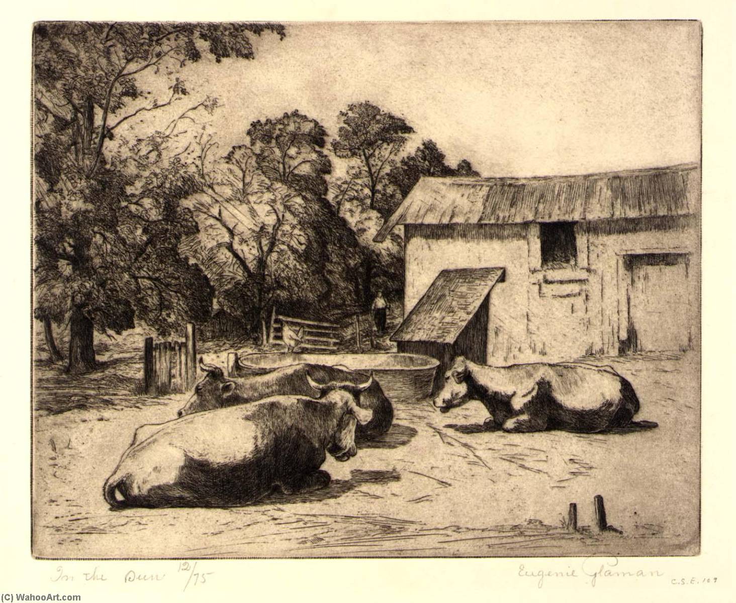 In The Sun — Eugenie Fish Glaman