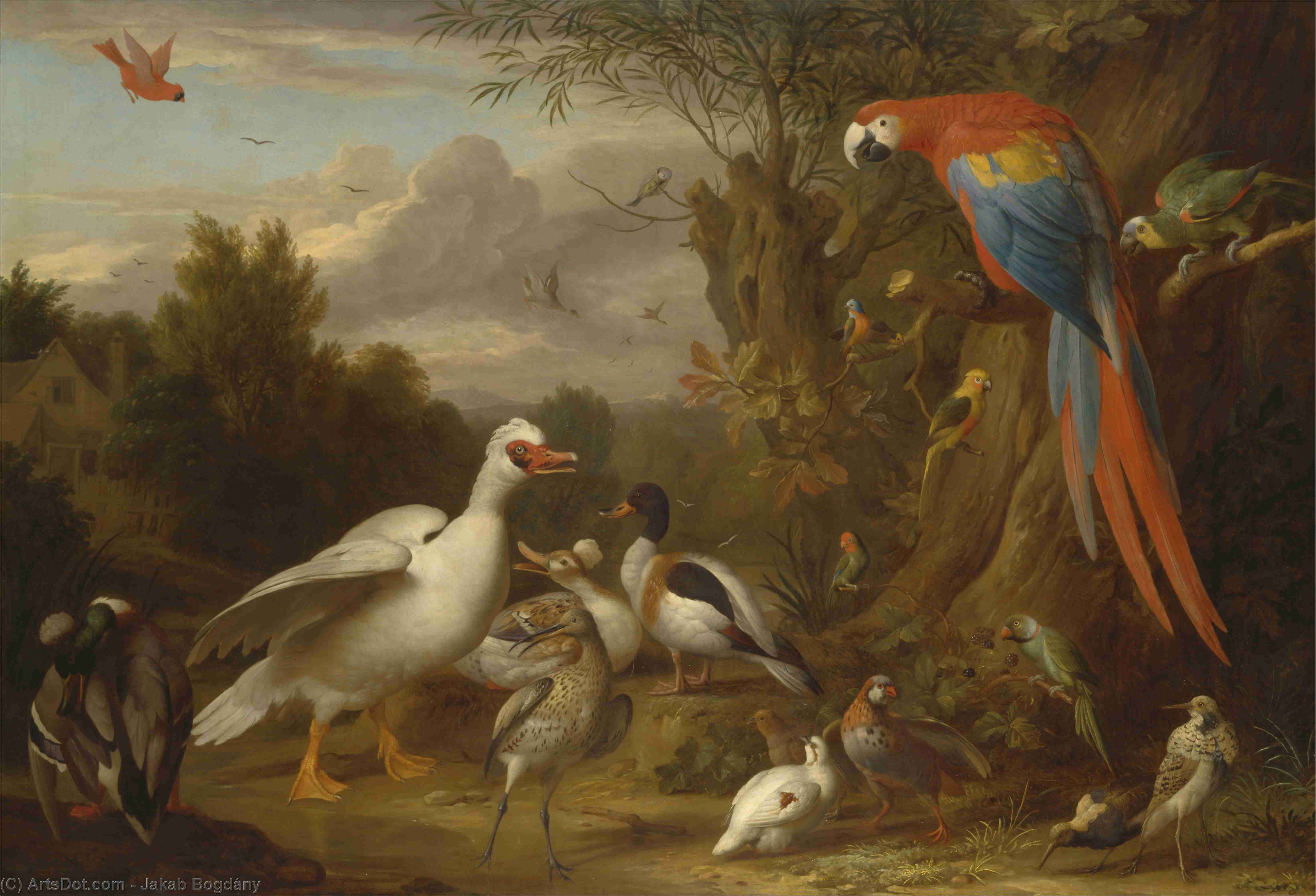 A Macaw, Ducks, Parrots And Other Birds In A Landscape — Jakab Bogdány