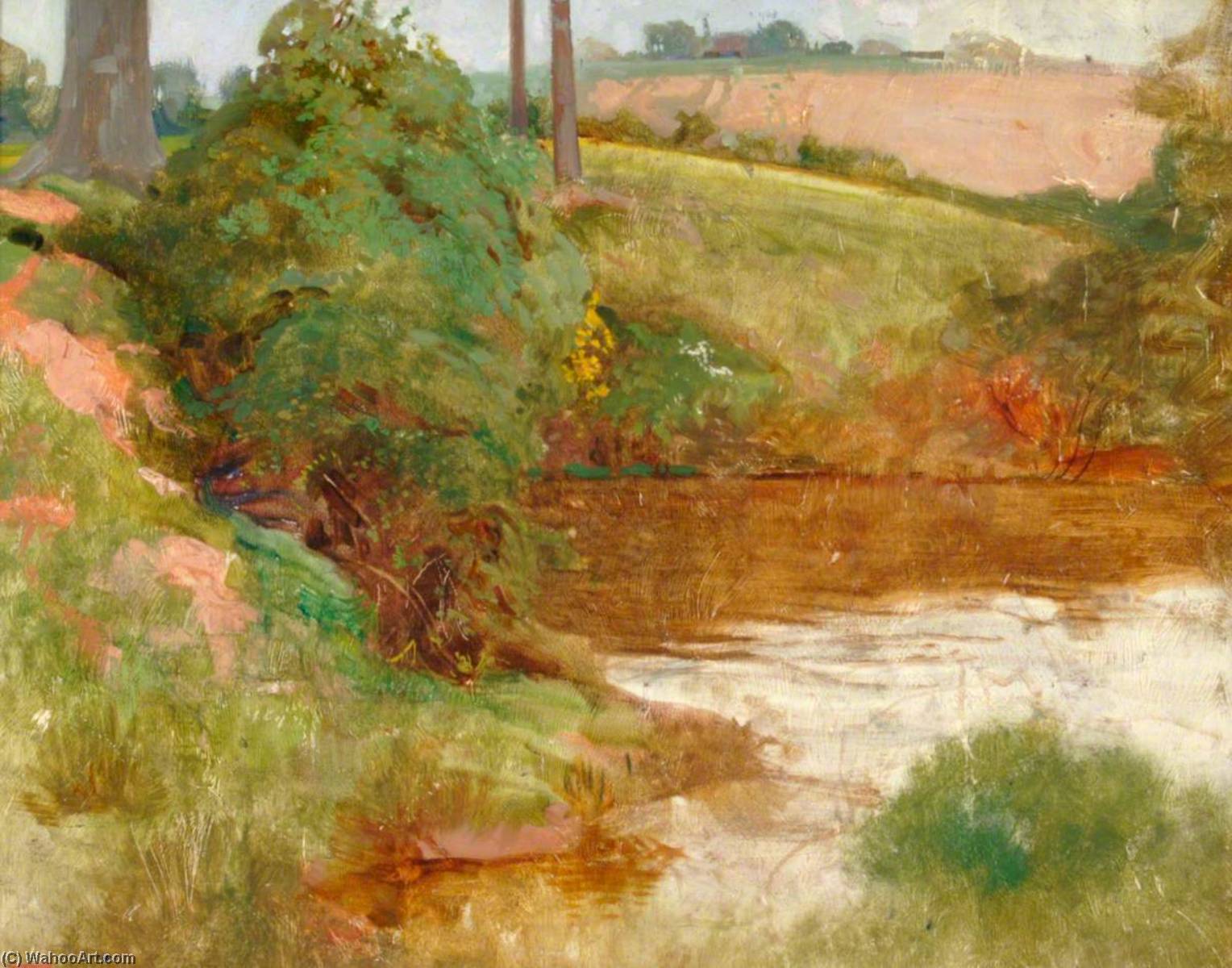 Doctor's Pond, Summerhill — Benjamin Haughton