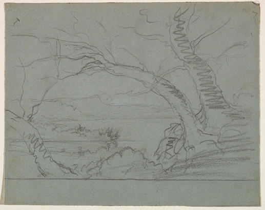 Trees Overlooking A Lake — Thomas Cole