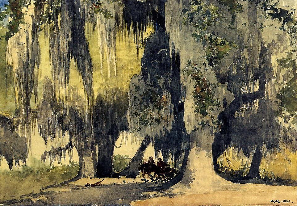 Live Oaks — Winslow Homer