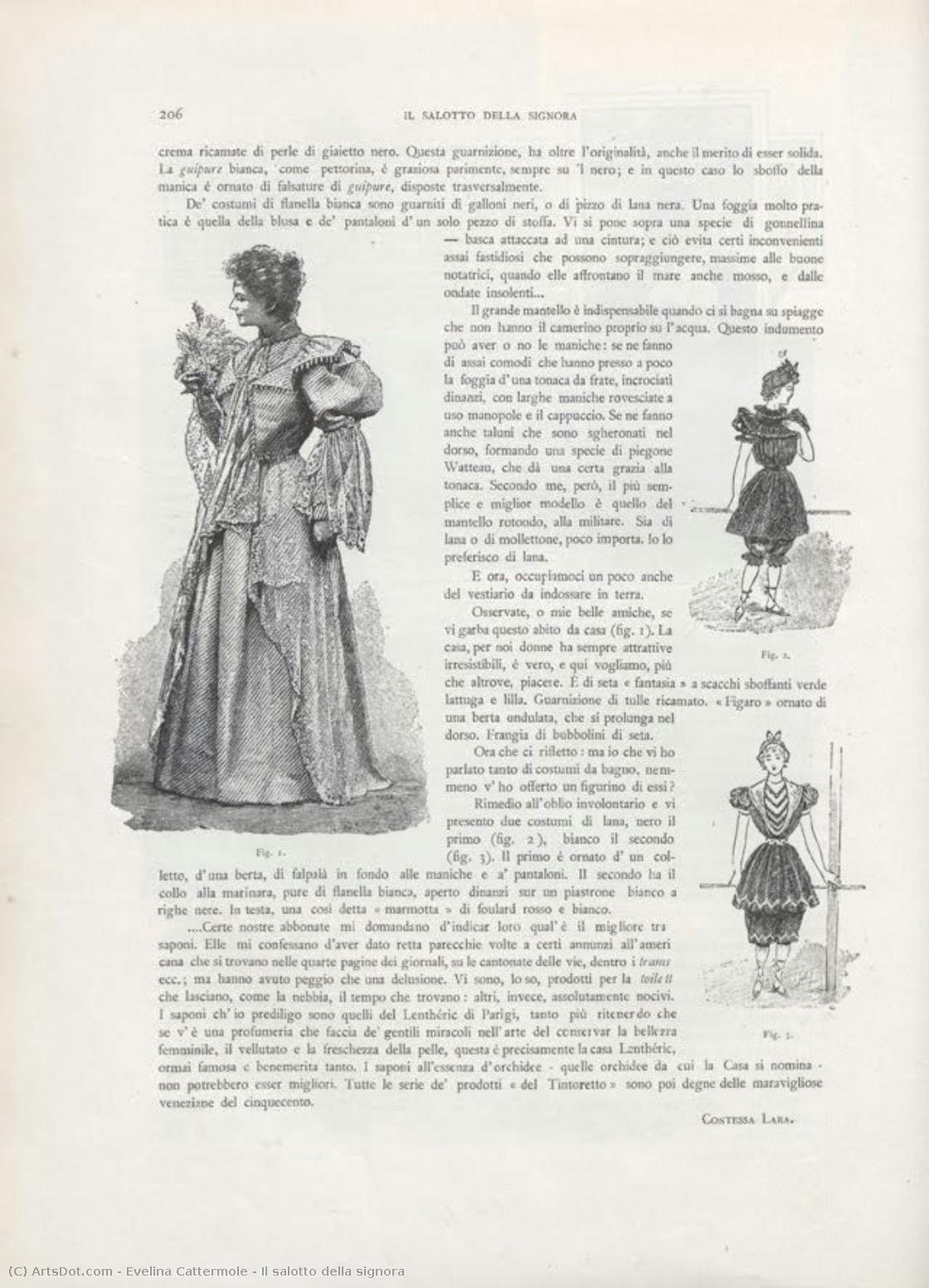 Il Salotto Della Signora — Evelina Cattermole