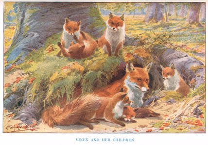 Vixen And Her Children — Louis Fairfax Muckley