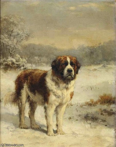 A Saint-bernard In The Snow — Otto Eerelman
