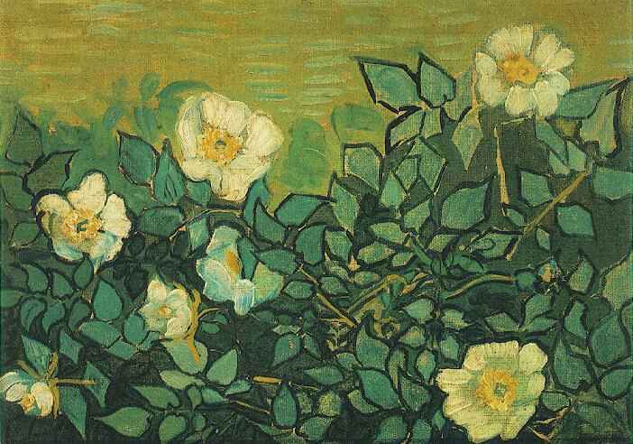 Roses Sauvages — Vincent Willem Van Gogh