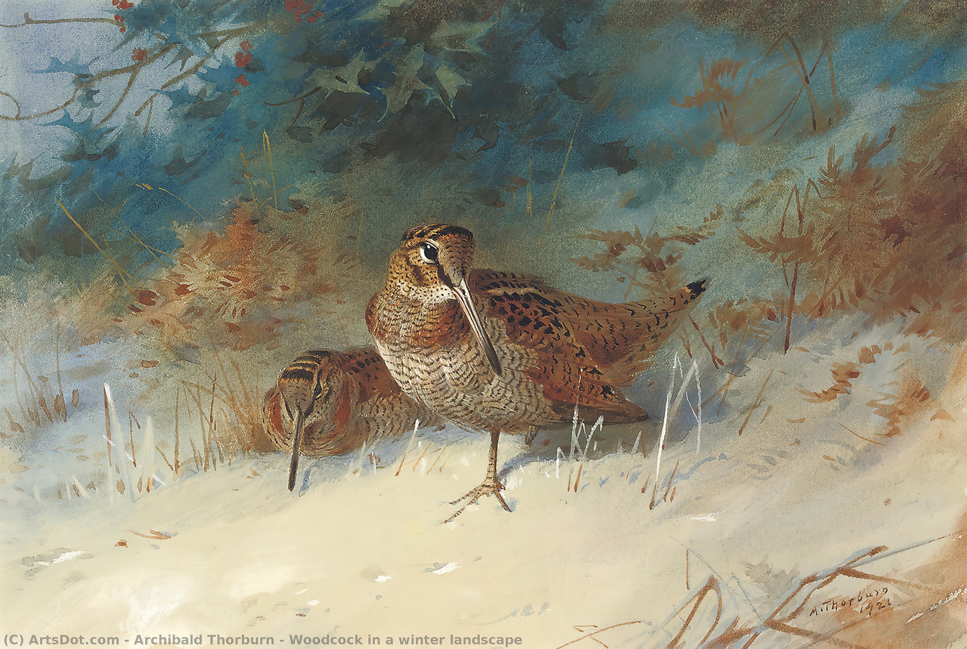 Woodcock In A Winter Landscape — Archibald Thorburn