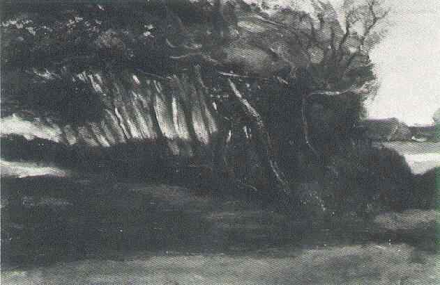 Landscape With Windblown Trees — Vincent Willem Van Gogh