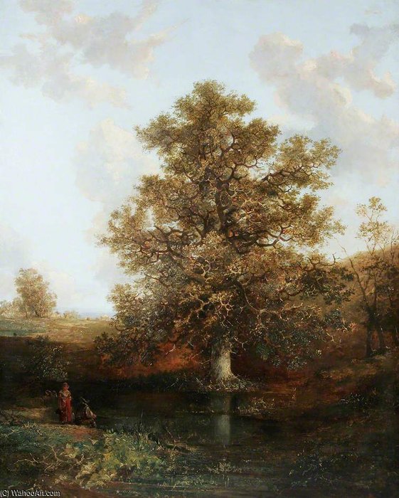 Poringland Oak — Paul Jones