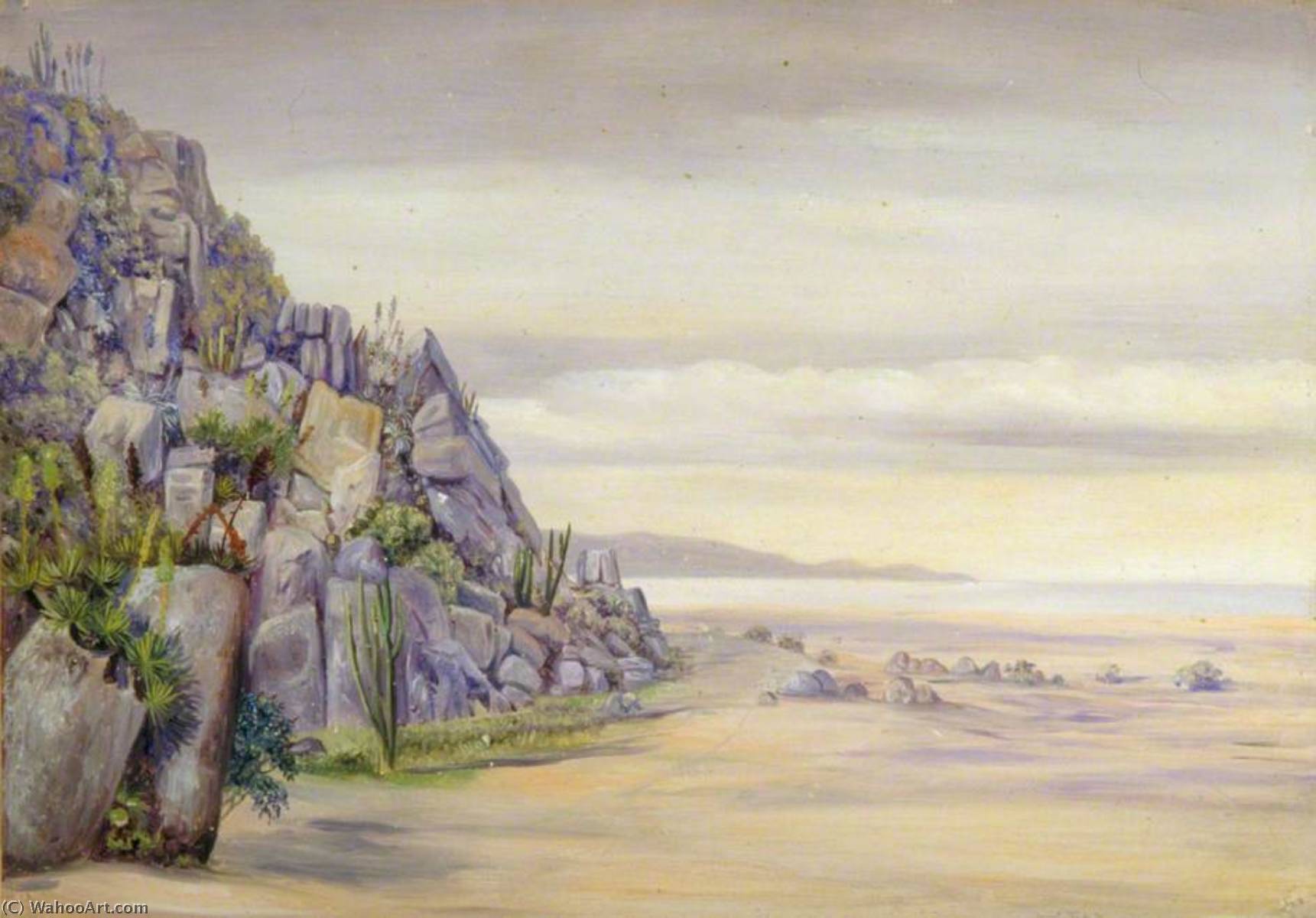 View In The Salinas, Chili — Marianne North