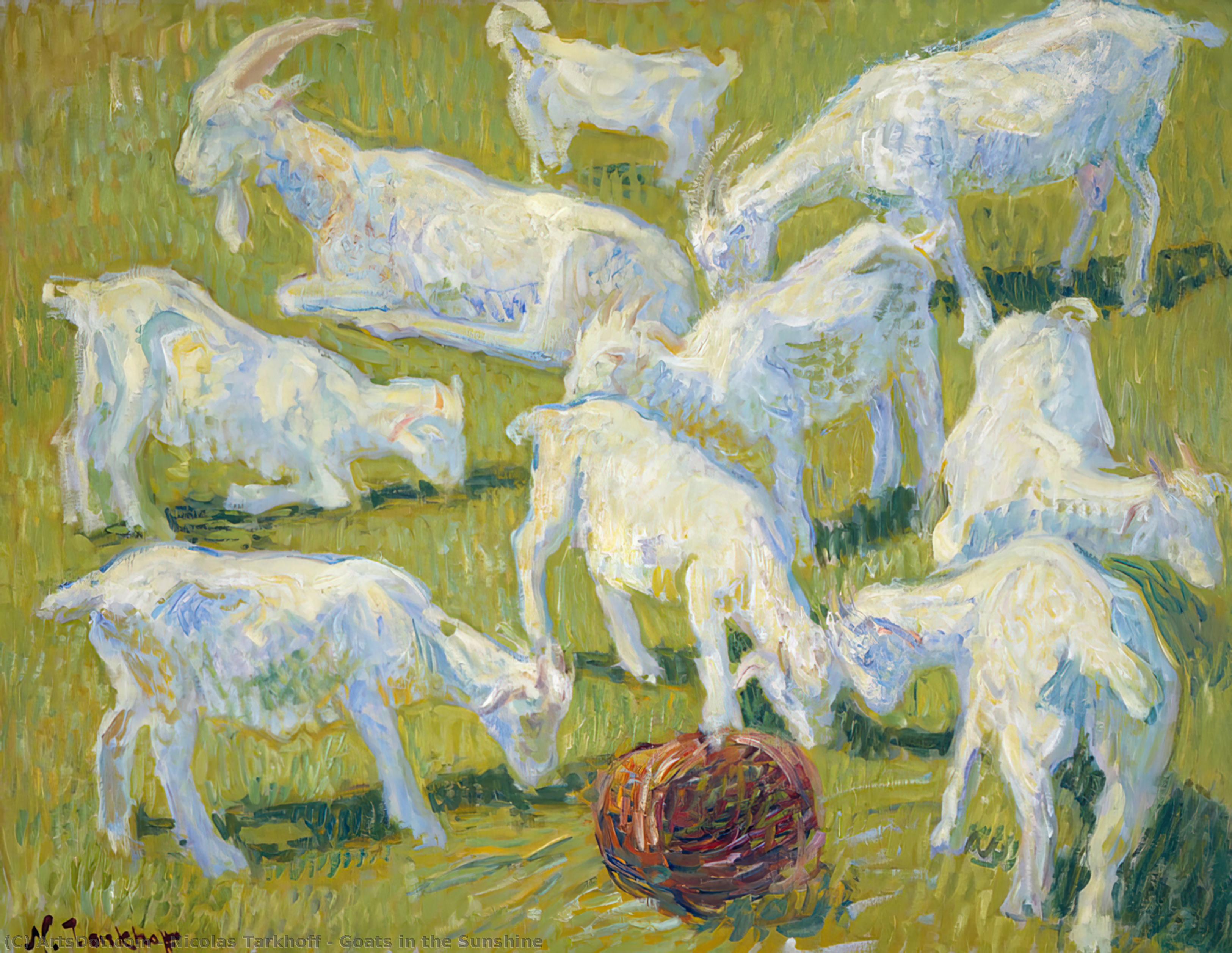 Goats In The Sunshine — Nicolas Tarkhoff