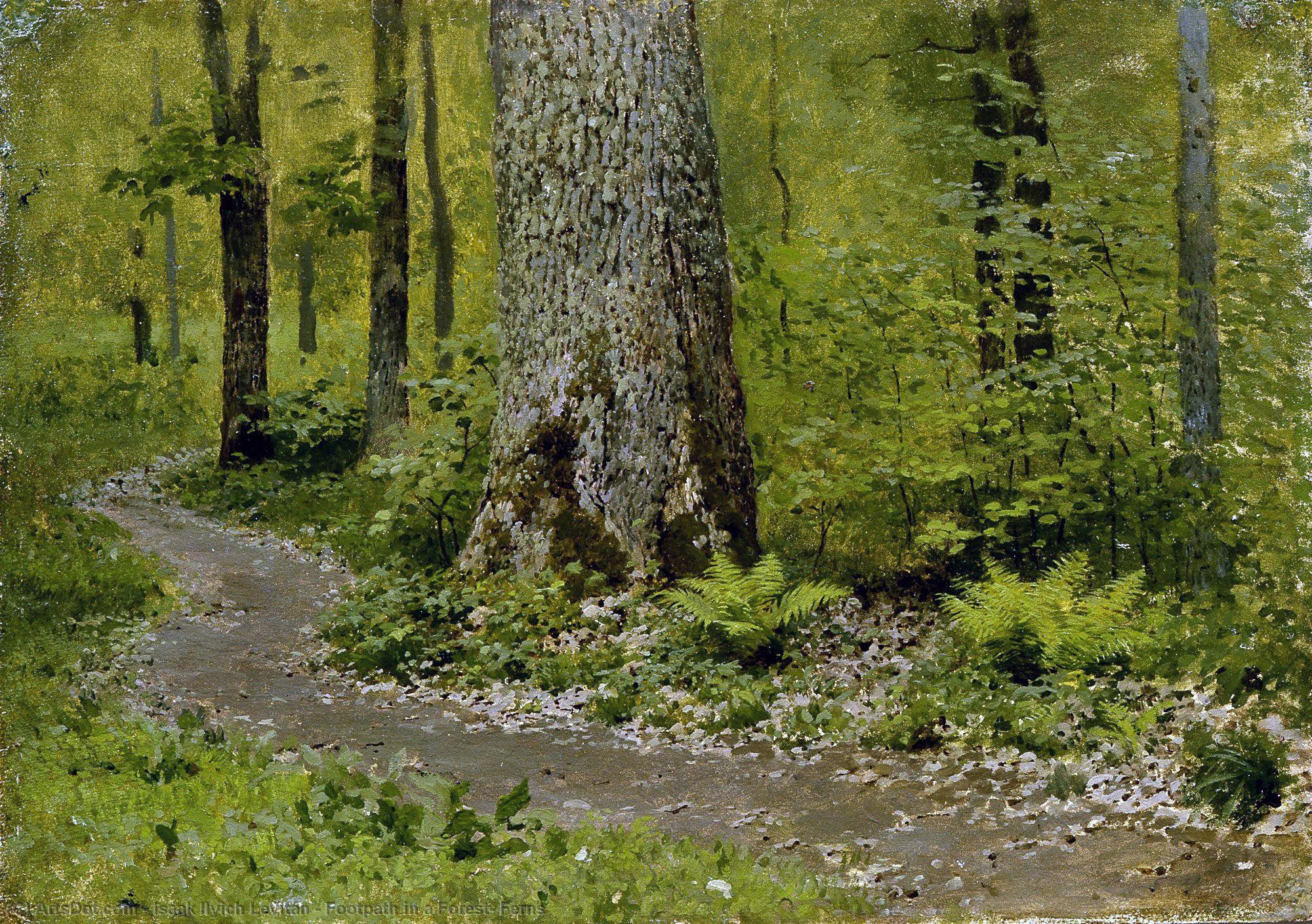 Footpath In A Forest, Ferns — Isaak Ilyich Levitan