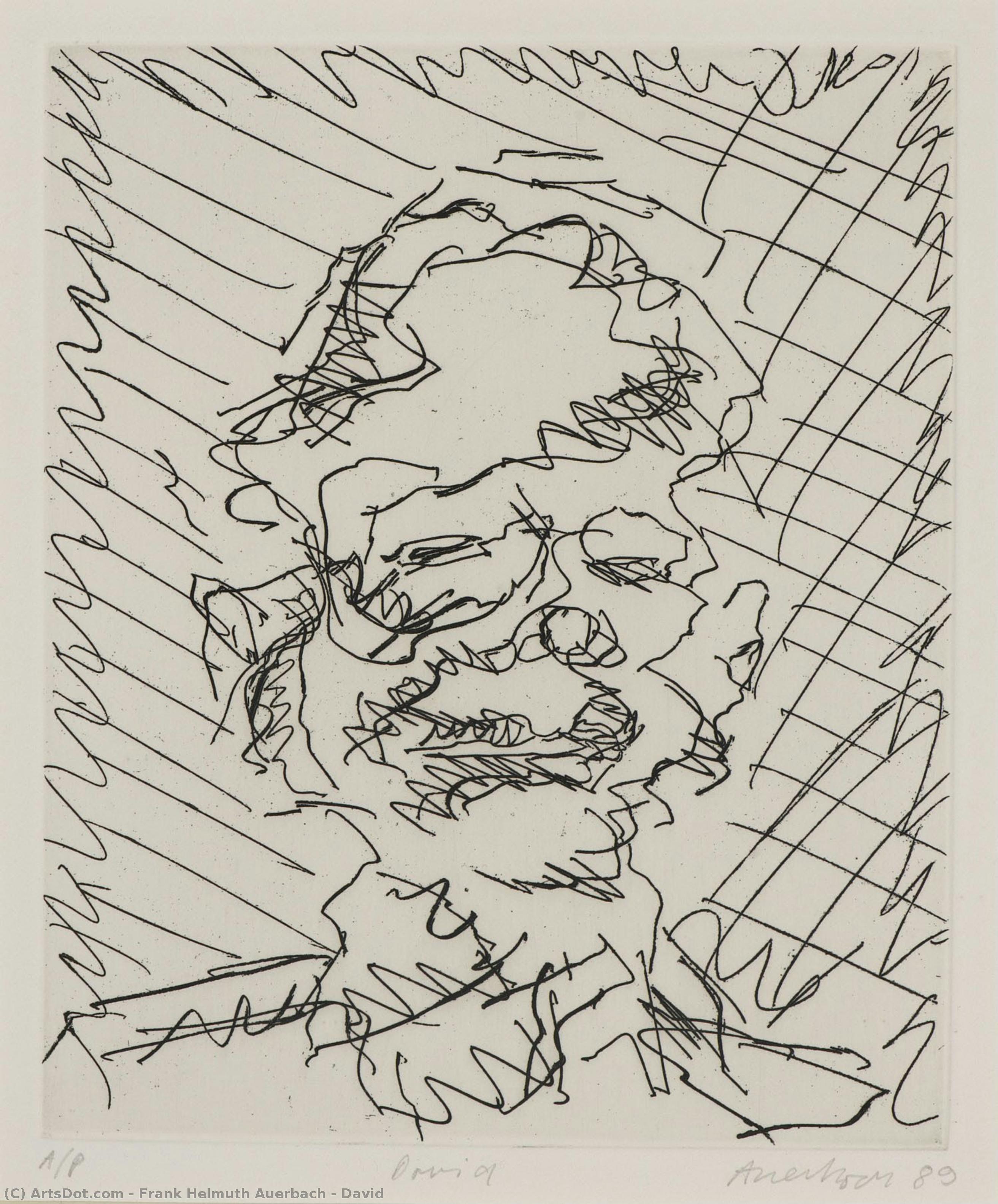 David — Frank Helmuth Auerbach