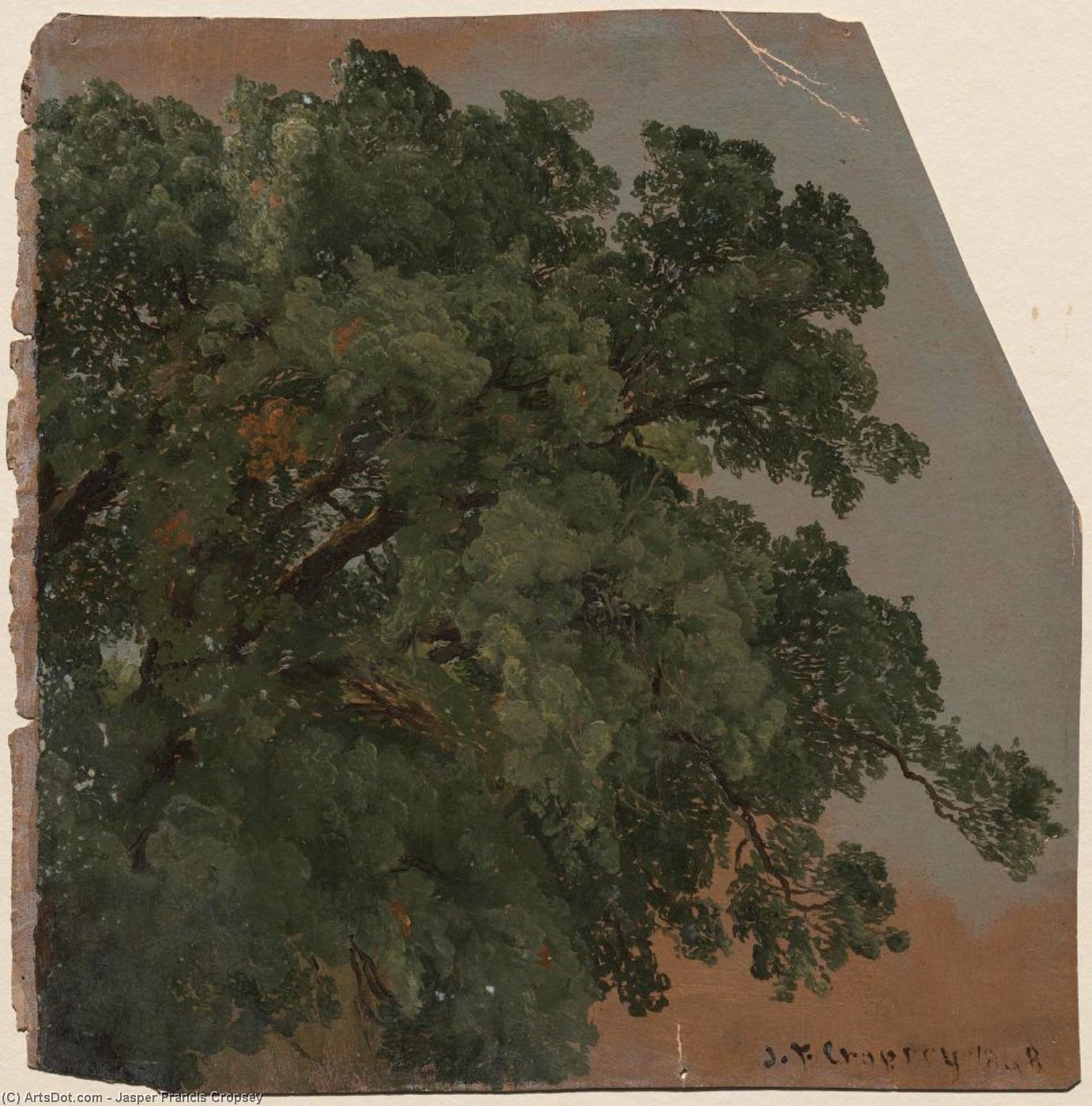 Foliage, Branches Of Tree — Jasper Francis Cropsey