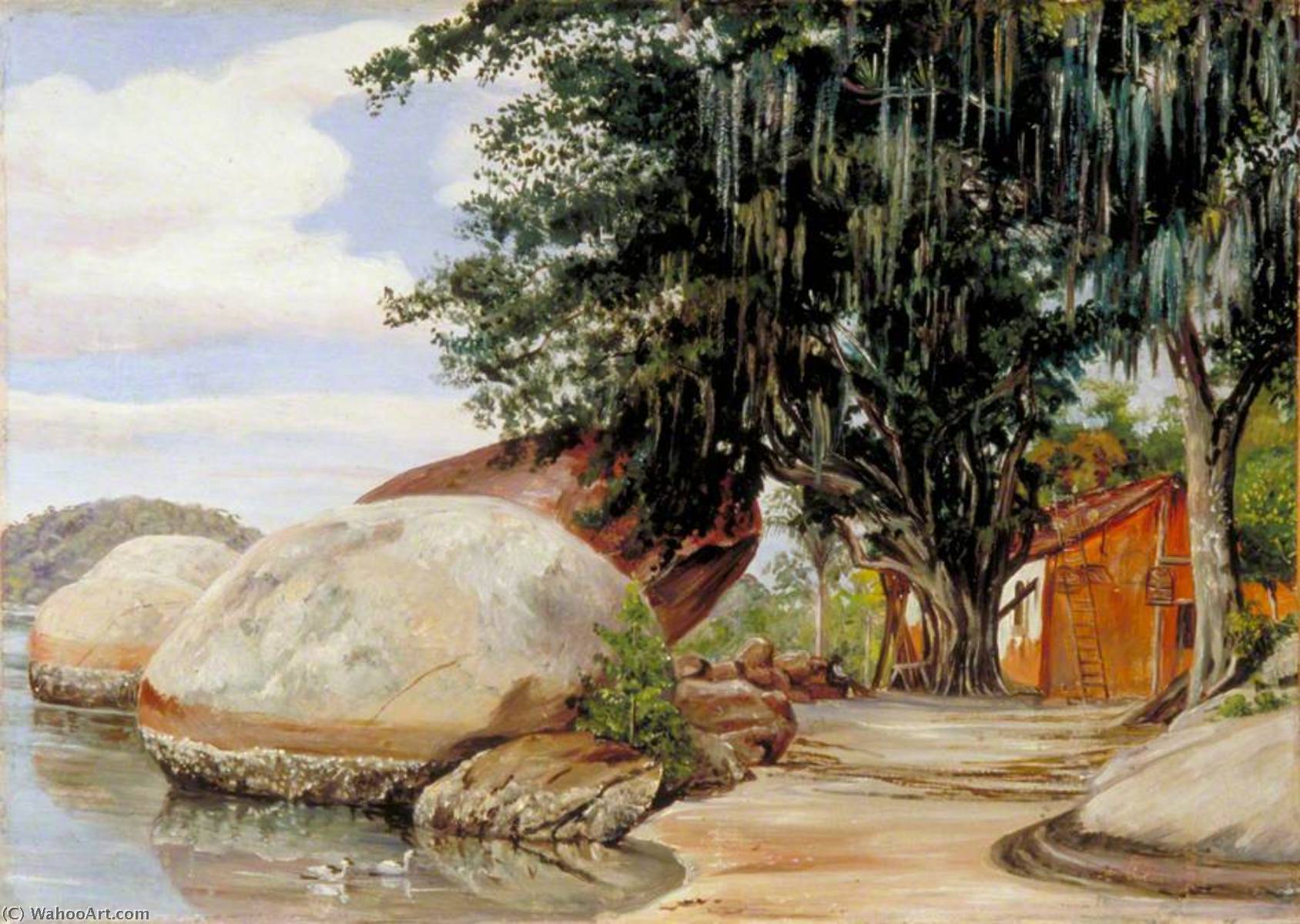 Boulders, Fisherman's Cottage And Tree Hung With Air Plant At Parquita, Brazil — Marianne North