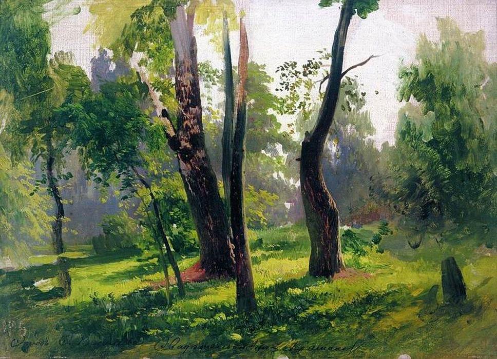 Trees. Study — Fyodor Alexandrovich Vasilyev