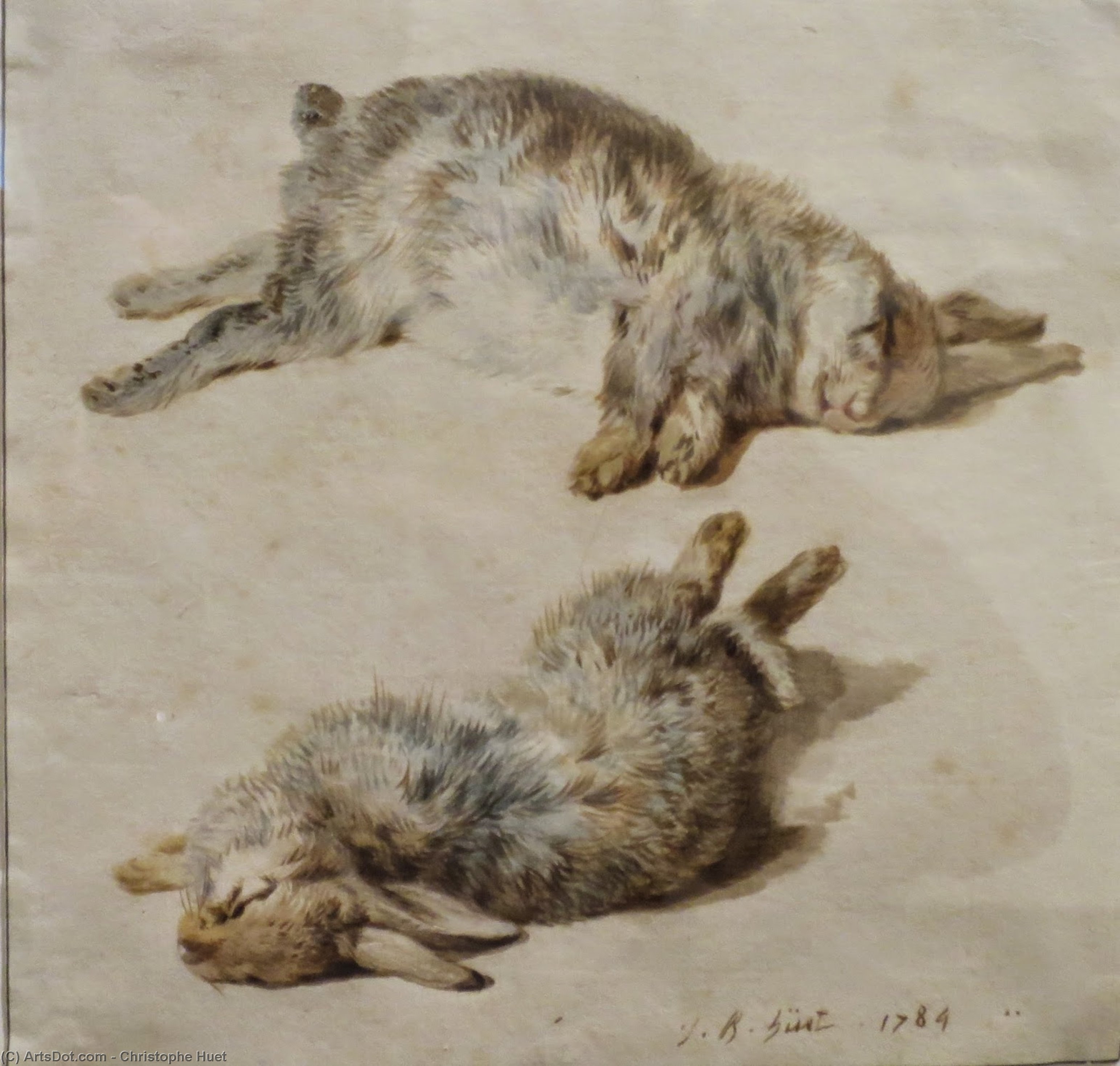 Two Rabbits Asleep — Christophe Huet