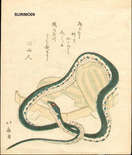 Year Of Snake — Katsushika Hokusai