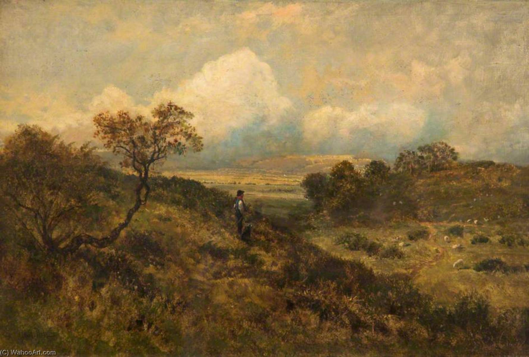 Near Capel Curig, Conwy — James Peel