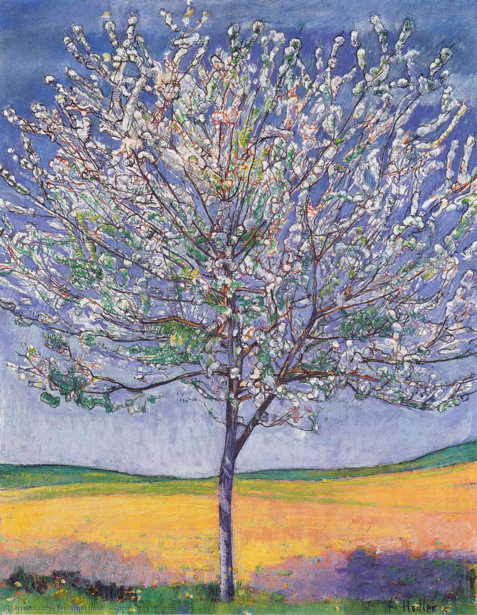Cherry Tree In Bloom — Ferdinand Hodler