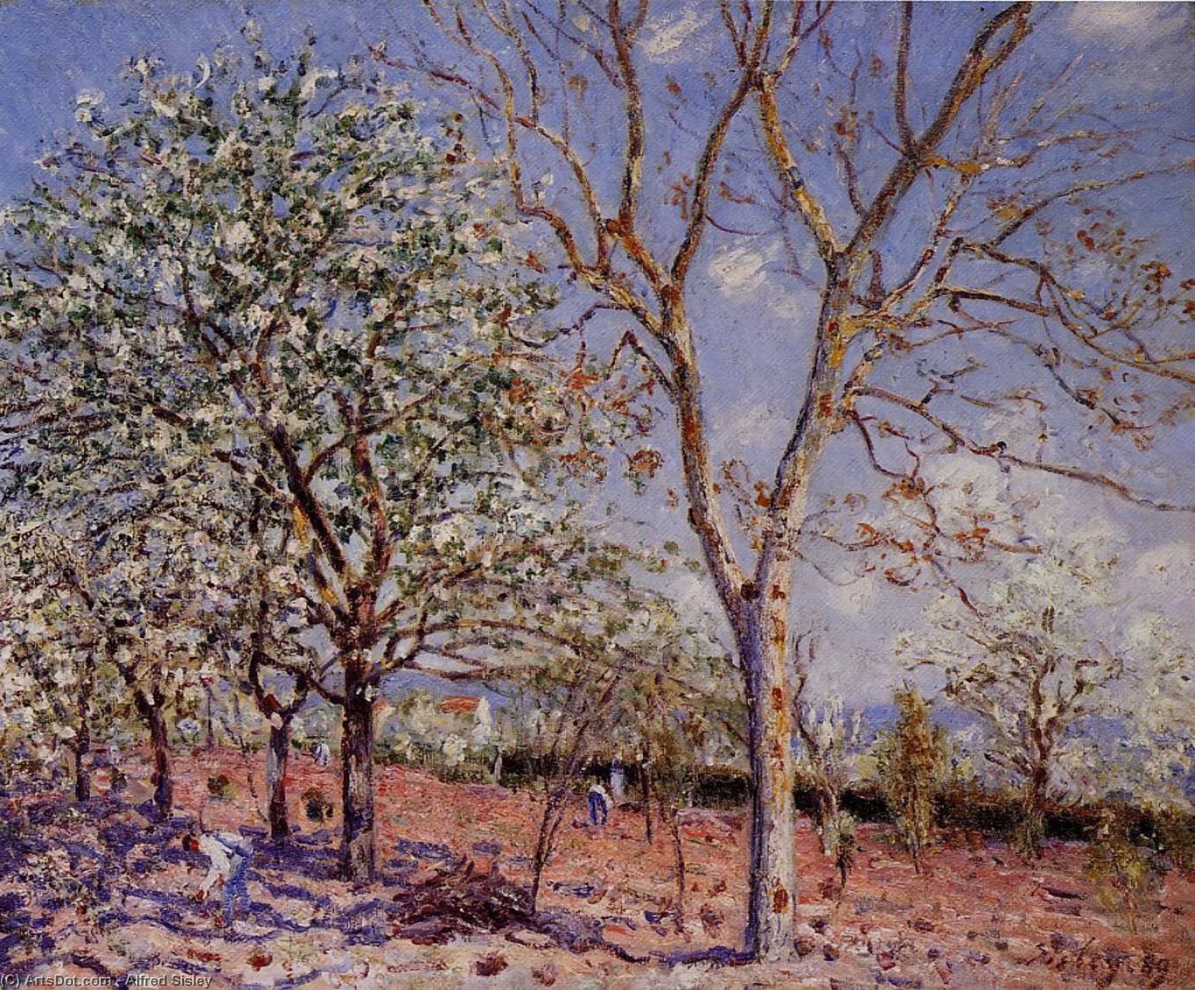 Plum And Walnut Trees In Spring — Alfred Sisley