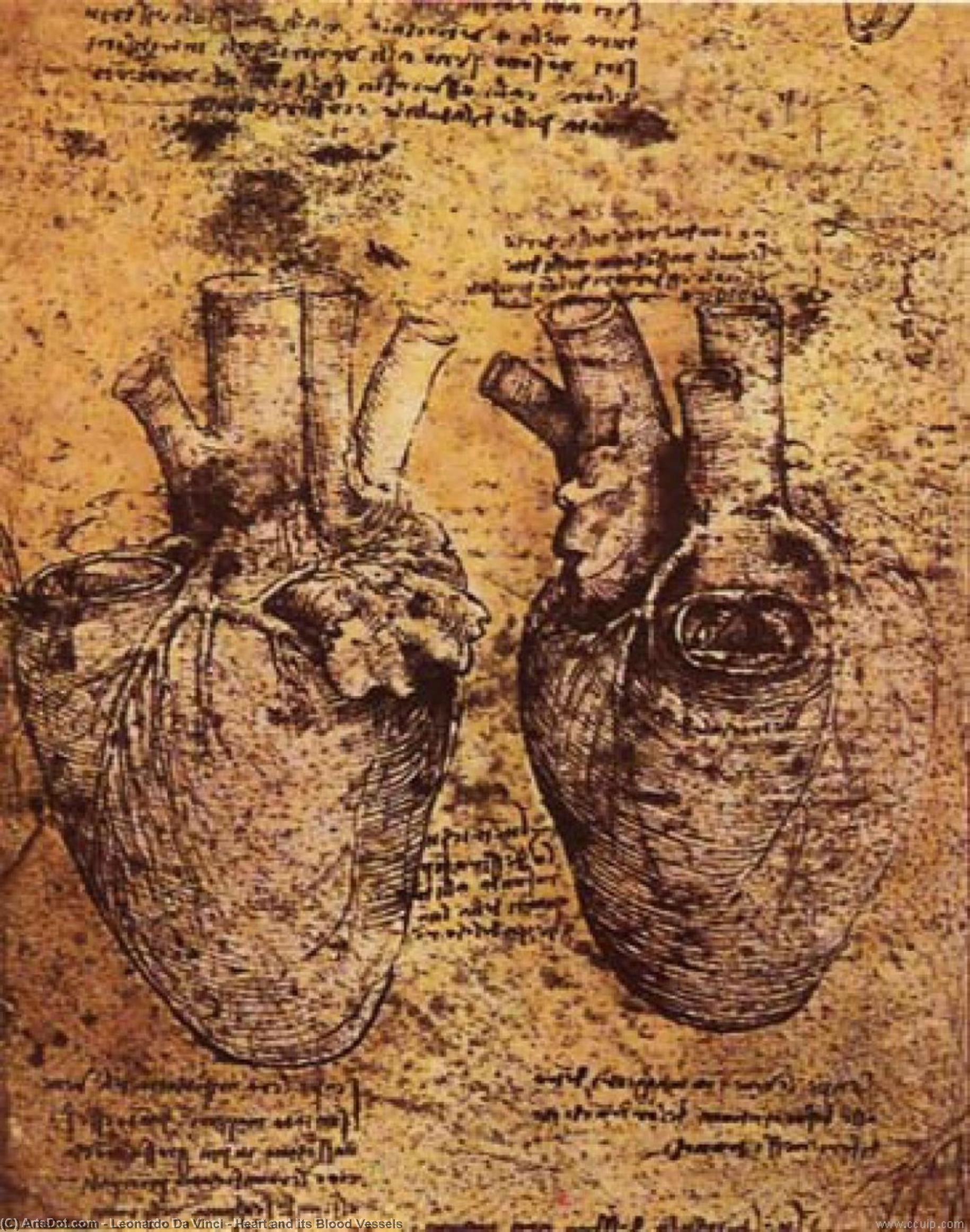 Heart And Its Blood Vessels — Leonardo Da Vinci