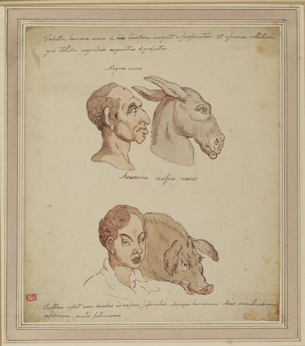 Caricature Of Two Human Faces, Related To Different Animals — Thomas Rowlandson