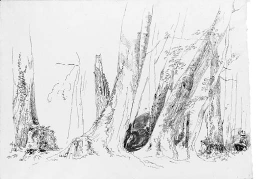 Studies Of Trees In The Forest At Compiegne — Paul Huet