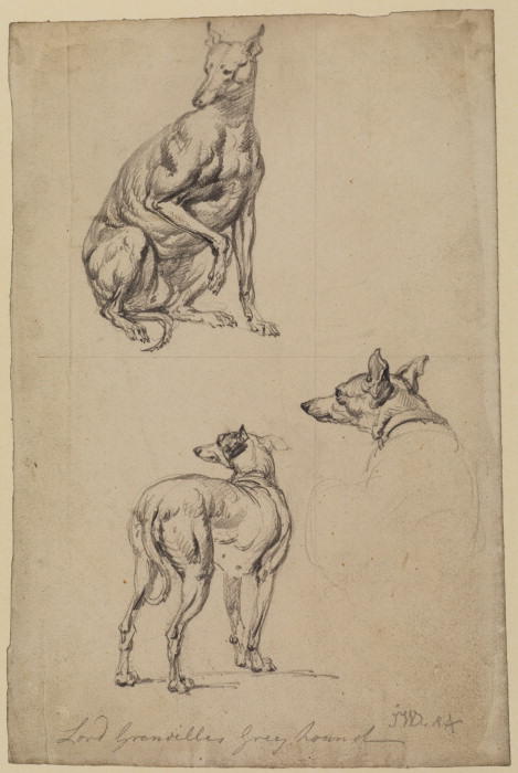 Three Studies Of A Greyhound — James Ward