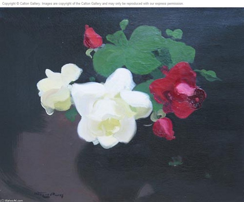 Red And Cream Roses — James Stuart Park