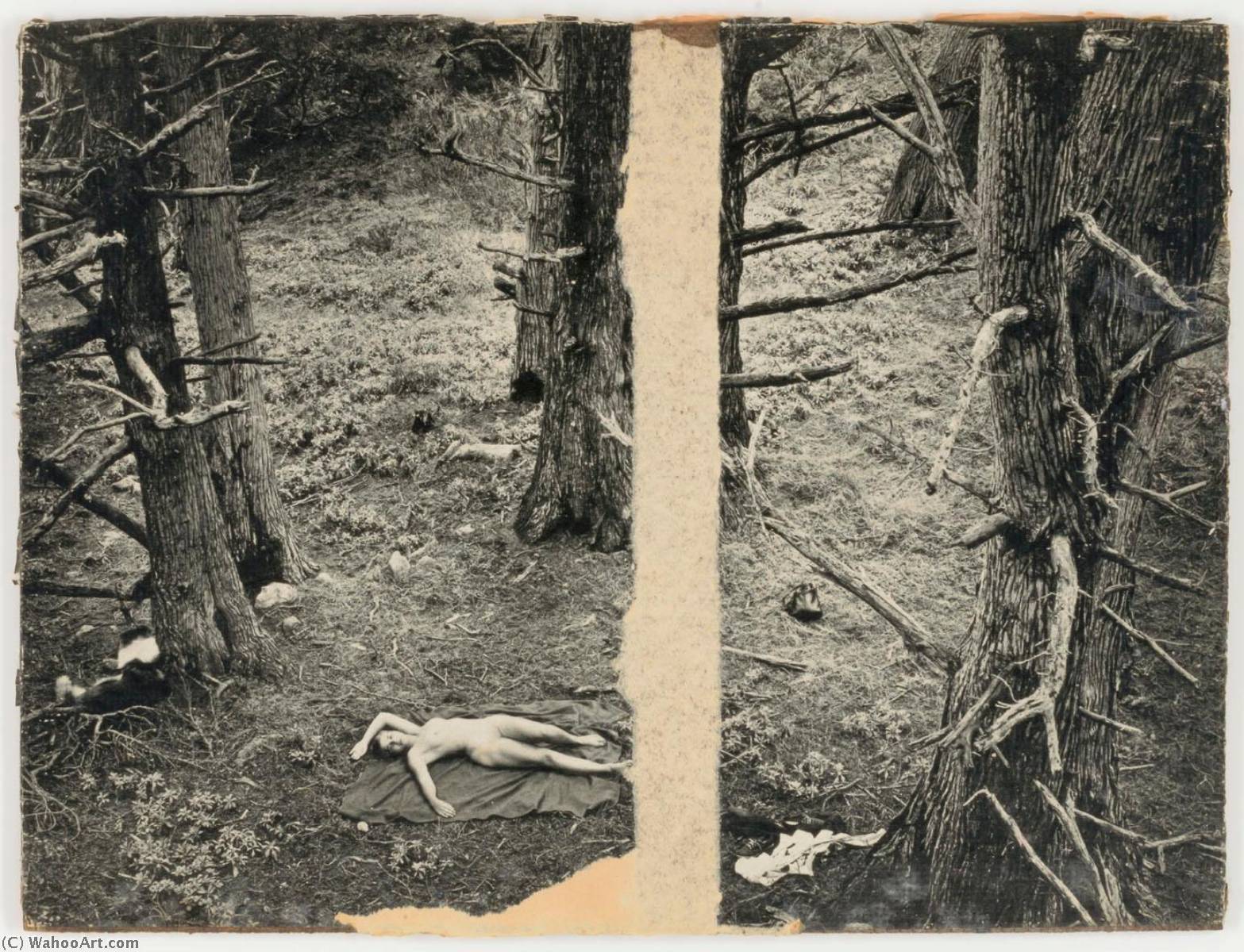 Untitled (nude On Blanket On Forest Floor) — Joseph Cornell