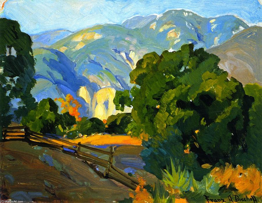 Mountain Fence — Franz Bischoff