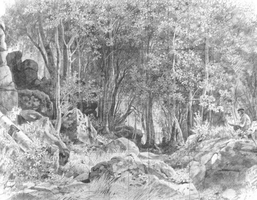 Deciduous Forest On Rocky Coast, Valaam — Ivan Ivanovich Shishkin