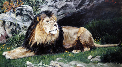 A Barbary Or Atlas Lion — Geza Meszoly