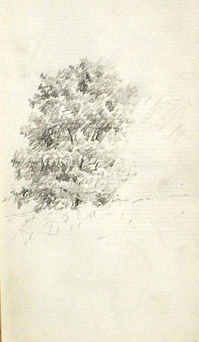 Tree 5 — John Ottis Adams