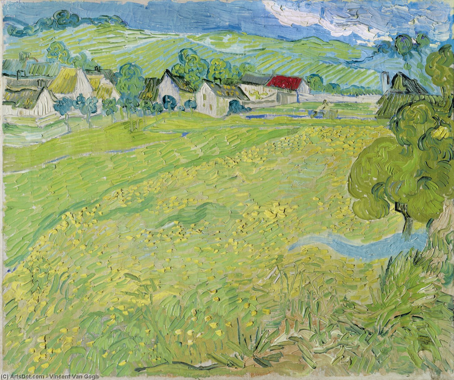 Vue De Vessenots Pres D'auvers — Vincent Willem Van Gogh