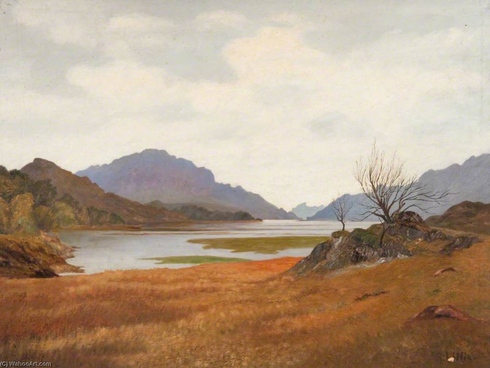Loch Moidart — Robert Lillie