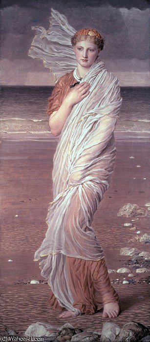Shells — Albert Joseph Moore