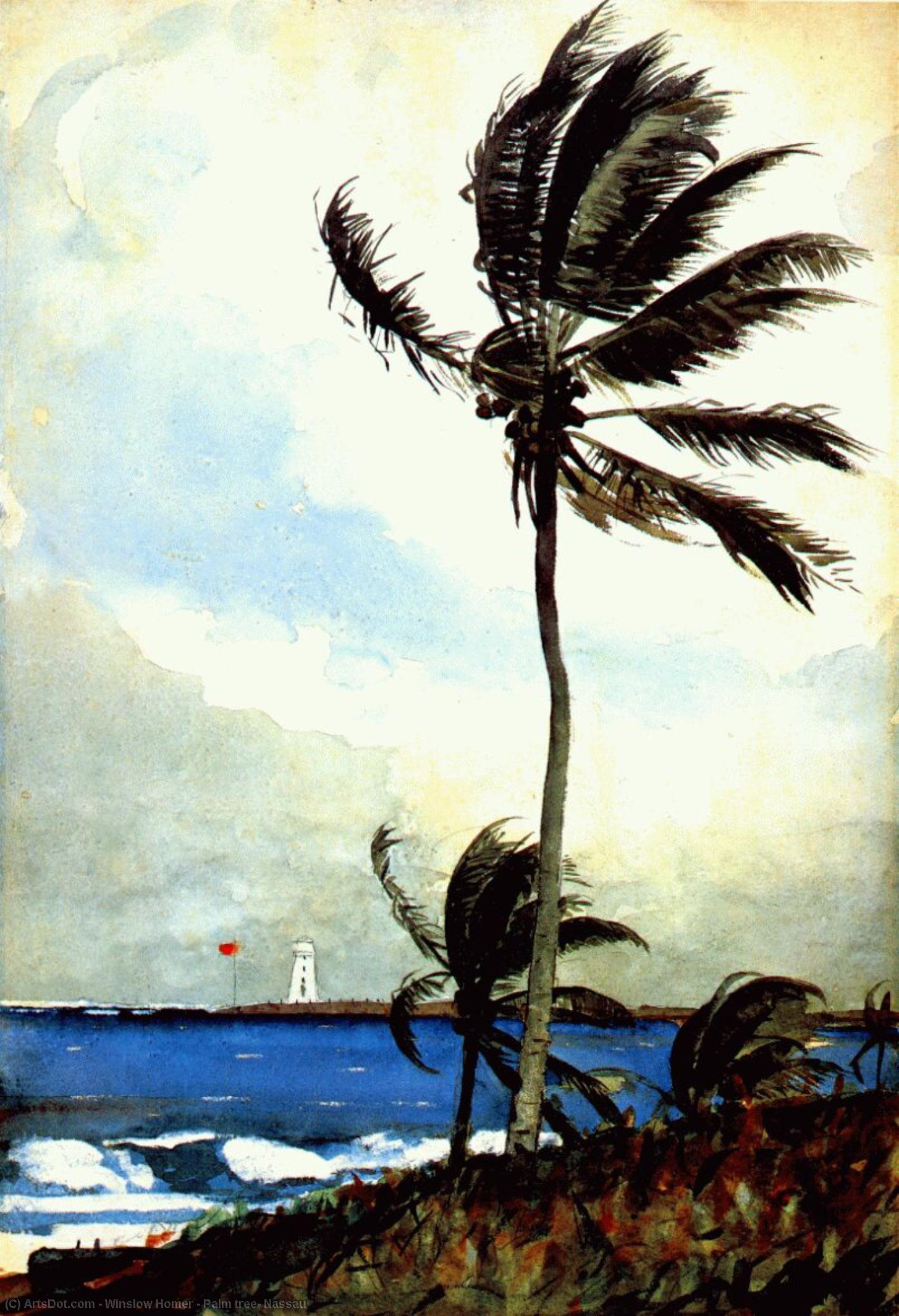 Palm Tree, Nassau — Winslow Homer